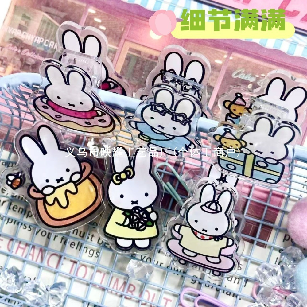 6Pcs Cute Miffy Acrylic Double - đánh giá và giá Food Grocery Snacks