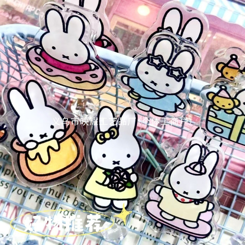 6Pcs Cute Miffy Acrylic Double - đánh giá và giá Food Grocery Snacks